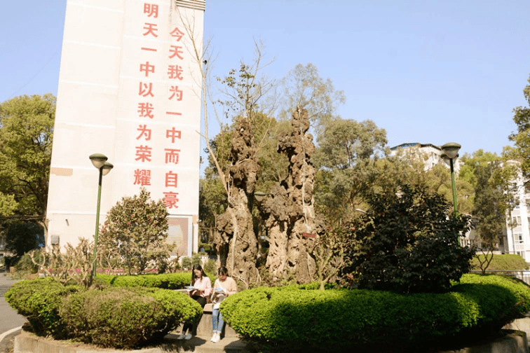 学科研讨-泸县一中